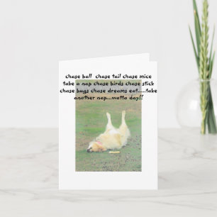 Elf the Clown Holiday Card