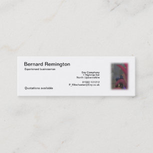 Elf traveller mini business card