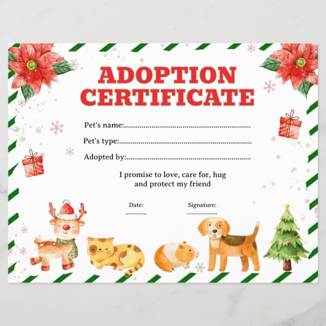 Elf's pet adopt certificate editable flyer (Front)