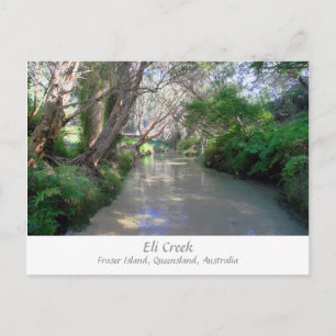 Eli Creek, Île Fraser, Australie - Carte postale