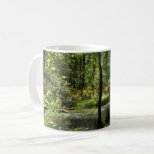 Elijah Bristow State Park, Dexter, Oregon Coffee Mug