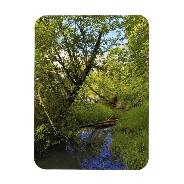 Elijah Bristow State Park, Dexter, Oregon Magnet (Vertical)