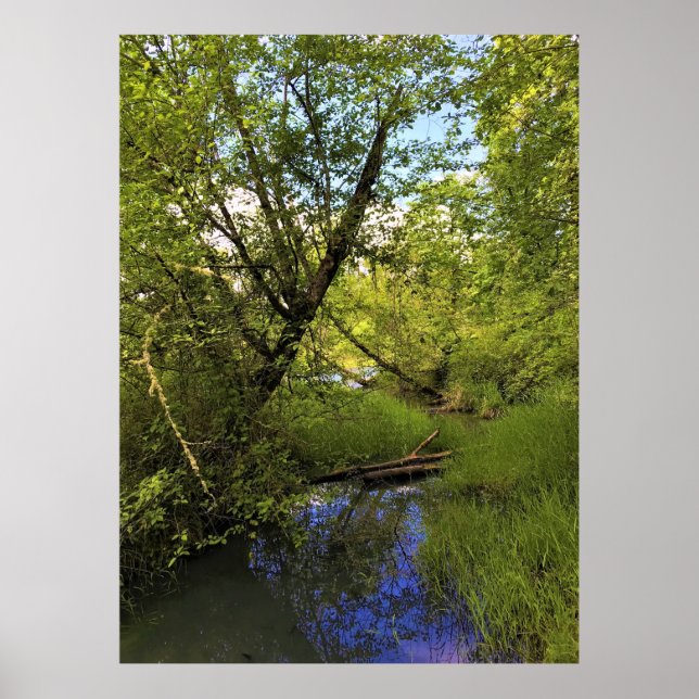 Elijah Bristow State Park, Dexter, Oregon Poster (Front)
