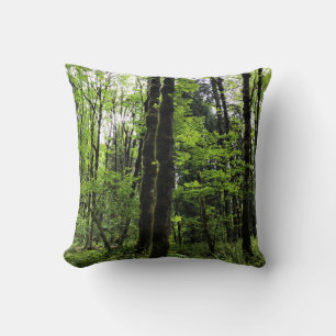 Elijah Bristow State Park, Dexter, Oregon Throw Pillow