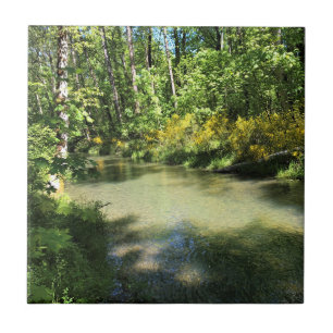 Elijah Bristow State Park, Dexter, Oregon Tile