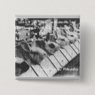 ELIMINATE VIVISECTIONS 2 INCH SQUARE BUTTON