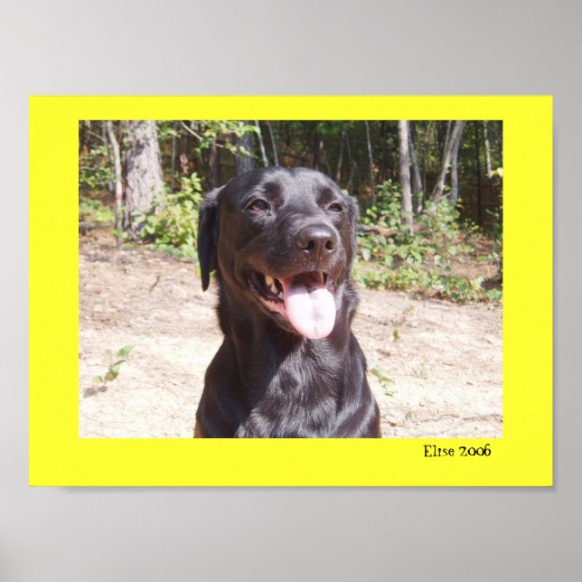 Elise 2006 poster (Front)