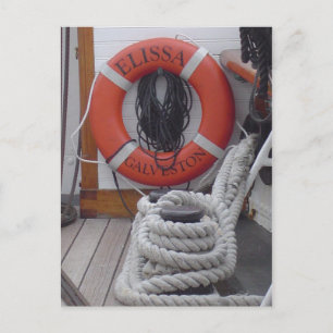 Elissa Sailing Vessel Postcard Galveston Texas