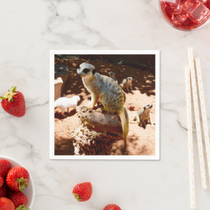 Eliza Queen Of The Meerkats, Paper Party Napkins