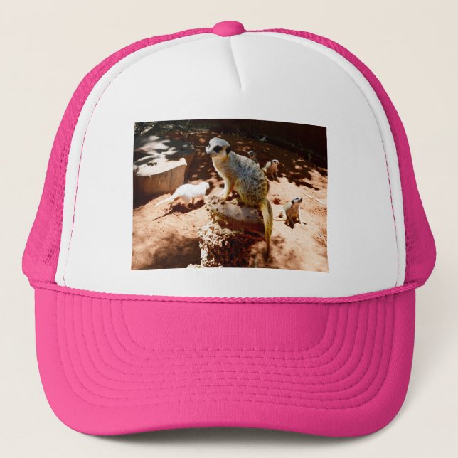 Eliza Queen Of The Meerkats, Truckers Hat (Front)