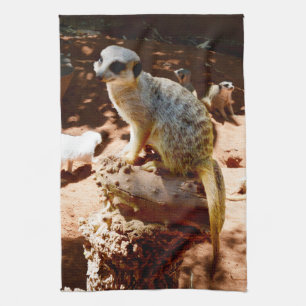 Eliza Reine Des Meerkats, Serviette De Plat