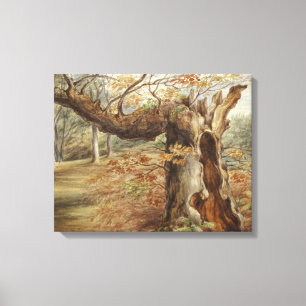 Elizabeth Murray - Rotting Tree Canvas Print