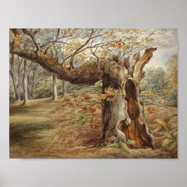 Elizabeth Murray - Rotting Tree Poster (Front)