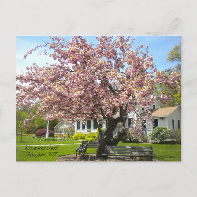Elizabeth Park, Hartford, CT Carte postale (Devant)
