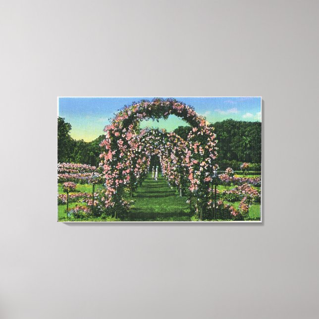 Elizabeth Park View of the Rose Arches Canvas Print (Front)