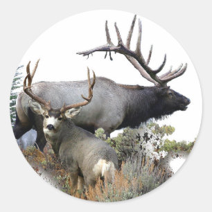 Elk and mule deer classic round sticker