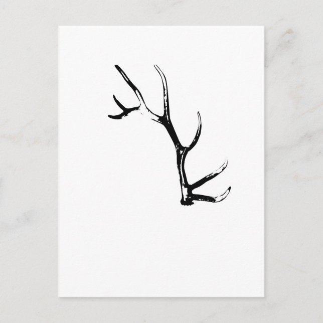 Elk Antler Postcard (Front)