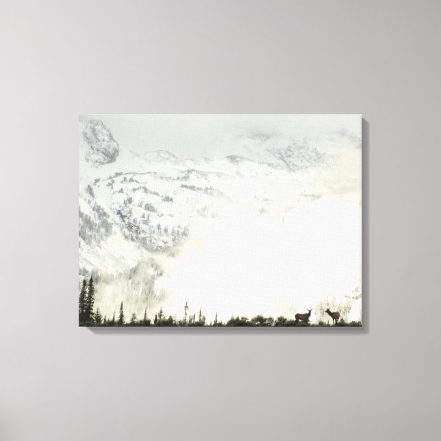 Elk at Grand Teton National Park Photography Canvas Print (Front)