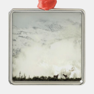 Elk at Grand Teton National Park Photography Metal Ornament