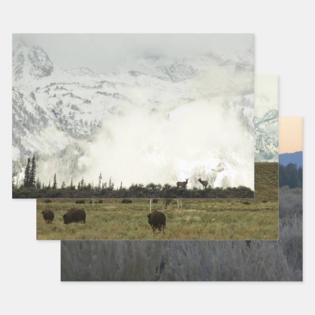 Elk at Grand Teton National Park Photography Wrapping Paper Sheet (Set)