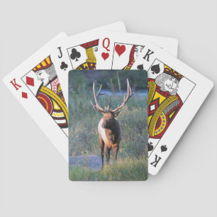Elk Bicycle Playing Cards