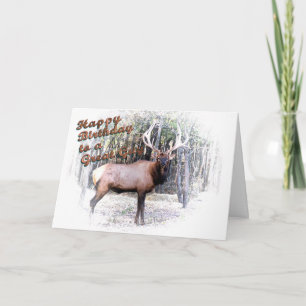 Elk birthday-customize card