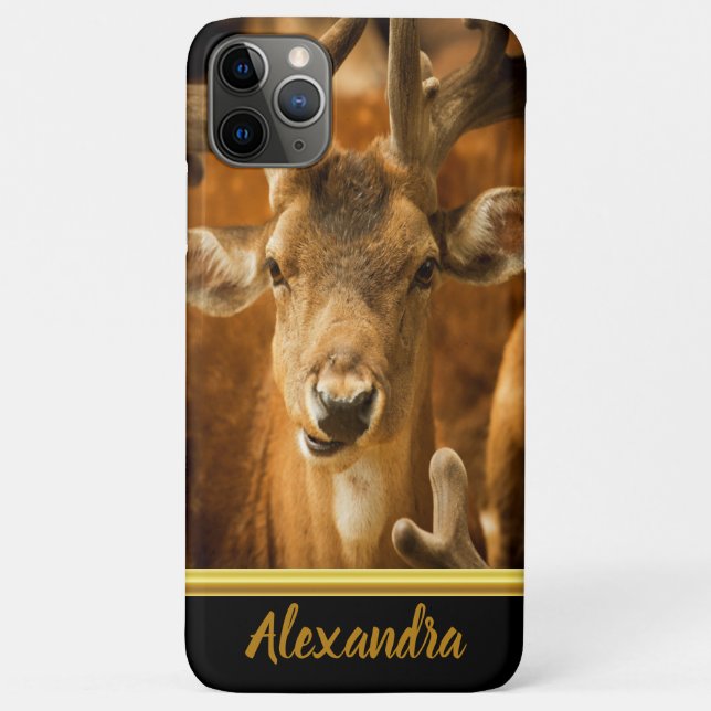 Elk buck looking right at you Case-Mate iPhone case (Back)