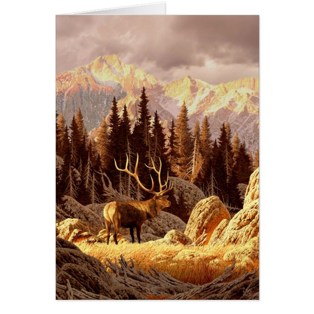 Elk Bull (Front)