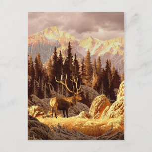 Elk Bull Postcard