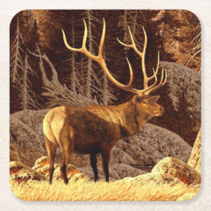 Elk Bull Square Paper Coaster