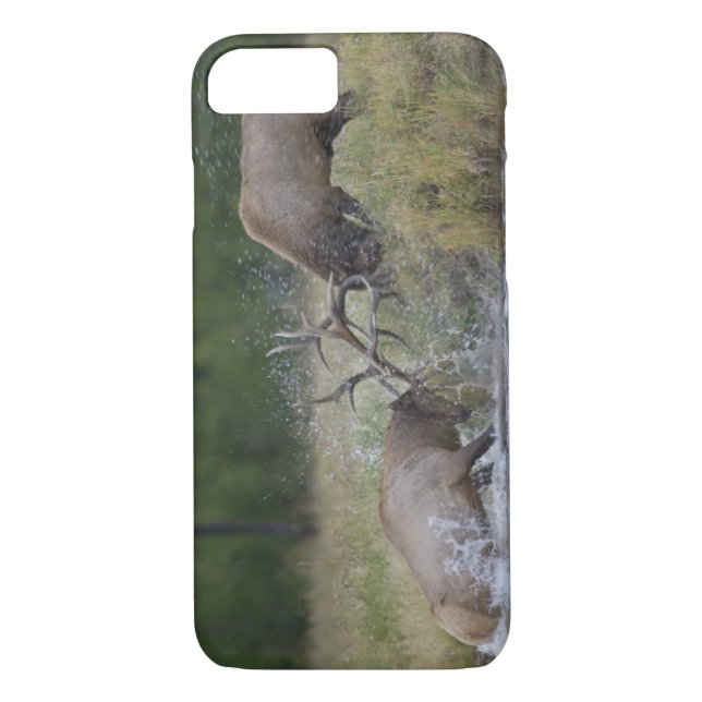 Elk Bulls fighting, Yellowstone NP, Wyoming Case-Mate iPhone Case (Back)