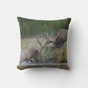 Elk Bulls fighting, Yellowstone NP, Wyoming Throw Pillow