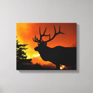 Elk Canvas Print