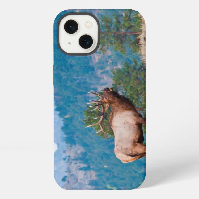 Elk (Cervus Elephus) Bull Bugling iPhone Case (Back)