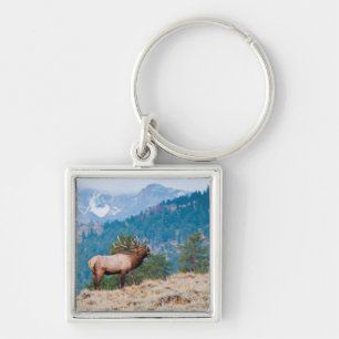 Elk (Cervus Elephus) Bull Bugling Keychain