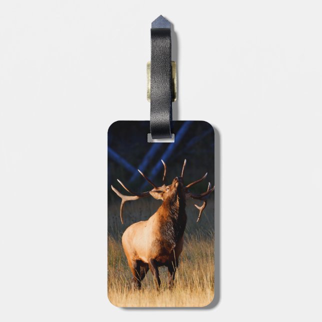 Elk Charging Luggage Tag (Back Vertical)
