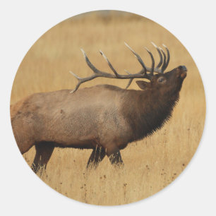elk classic round sticker