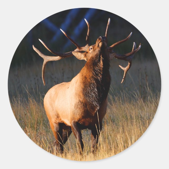 elk classic round sticker (Front)