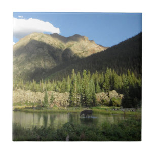 Elk Creek Moose - Weminuche Wilderness - Colorado Tile