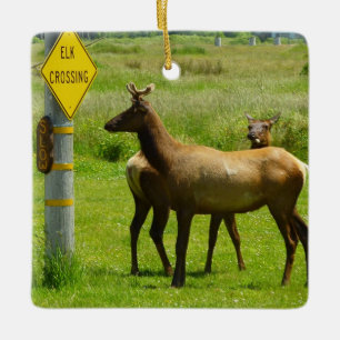 Elk Crossing California Wildlife Ceramic Ornament