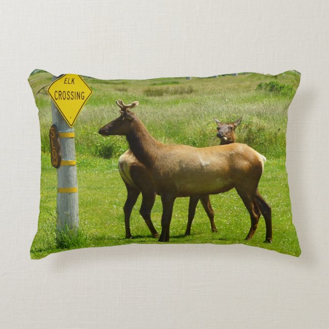 Elk Crossing California Wildlife Photography Accent Pillow (Front)
