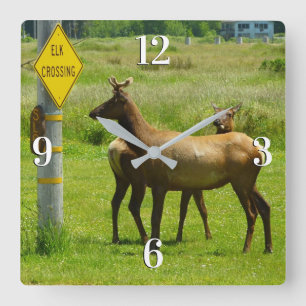 Elk Crossing California Wildlife Photography Square Wall Clock