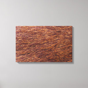 Elk fur canvas print