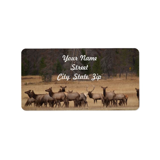 Elk Herd  Address Sticker (Front)