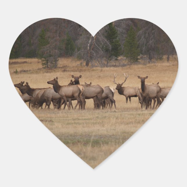 Elk Herd  Heart Sticker (Front)