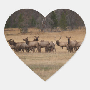Elk Herd Heart Sticker