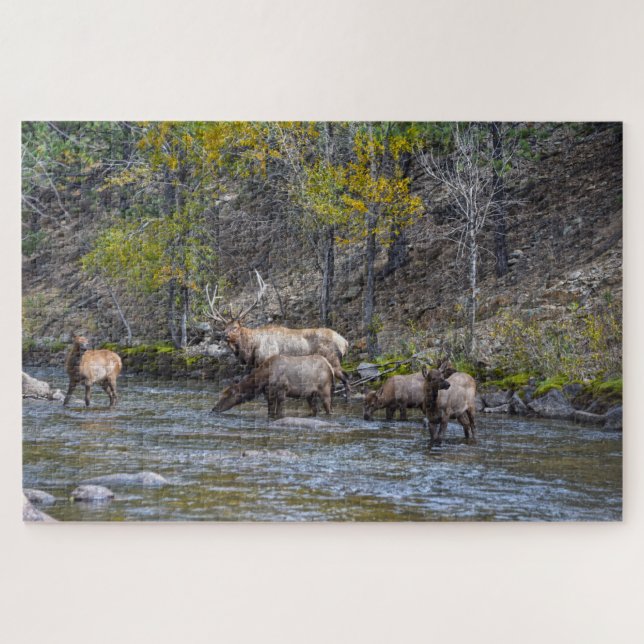 Elk Herd in the Big Thompson River Jigsaw Puzzle (Horizontal)