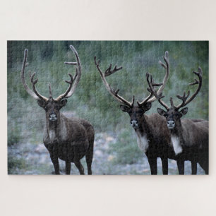 Elk Herd Mt. Baring, Washington Jigsaw Puzzle