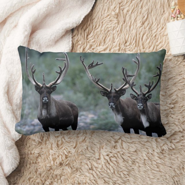 Elk Herd | Mt. Baring, Washington Lumbar Pillow (Blanket)
