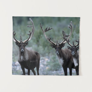 Elk Herd Mt. Baring, Washington Tapestry